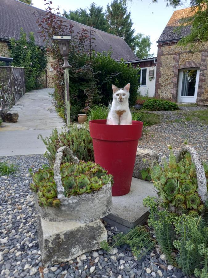 Chez Noelle Bed & Breakfast Illiers-Combray Exterior foto