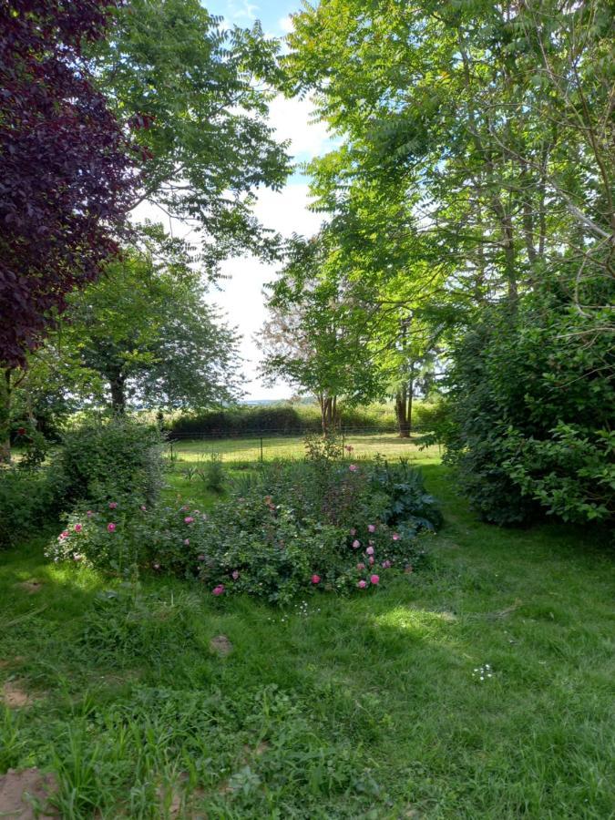 Chez Noelle Bed & Breakfast Illiers-Combray Exterior foto