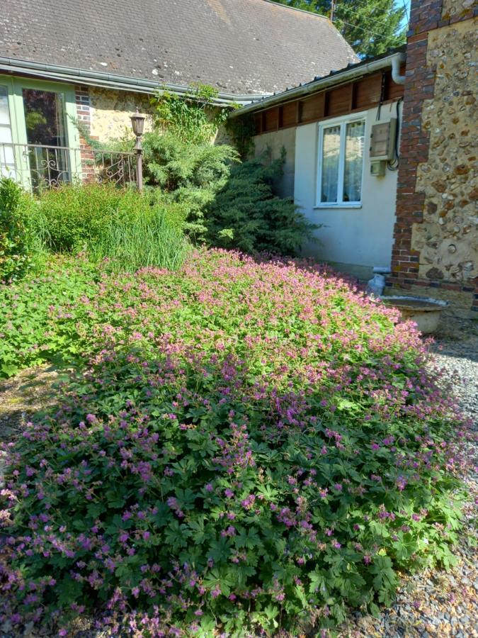 Chez Noelle Bed & Breakfast Illiers-Combray Exterior foto